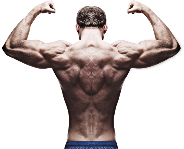 being-builder - Kick it body fitness EMS